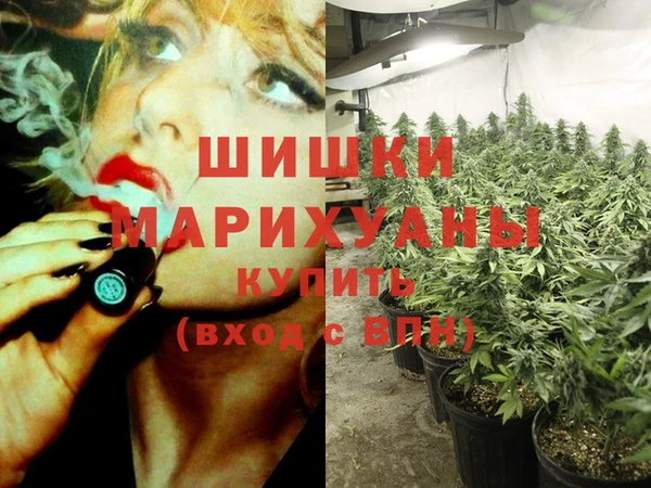 PSILOCYBIN Рославль