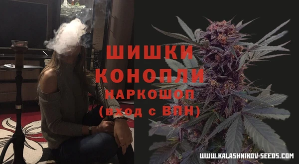 тгк Белокуриха