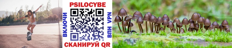 Галлюциногенные грибы MAGIC MUSHROOMS  Вышний Волочёк 